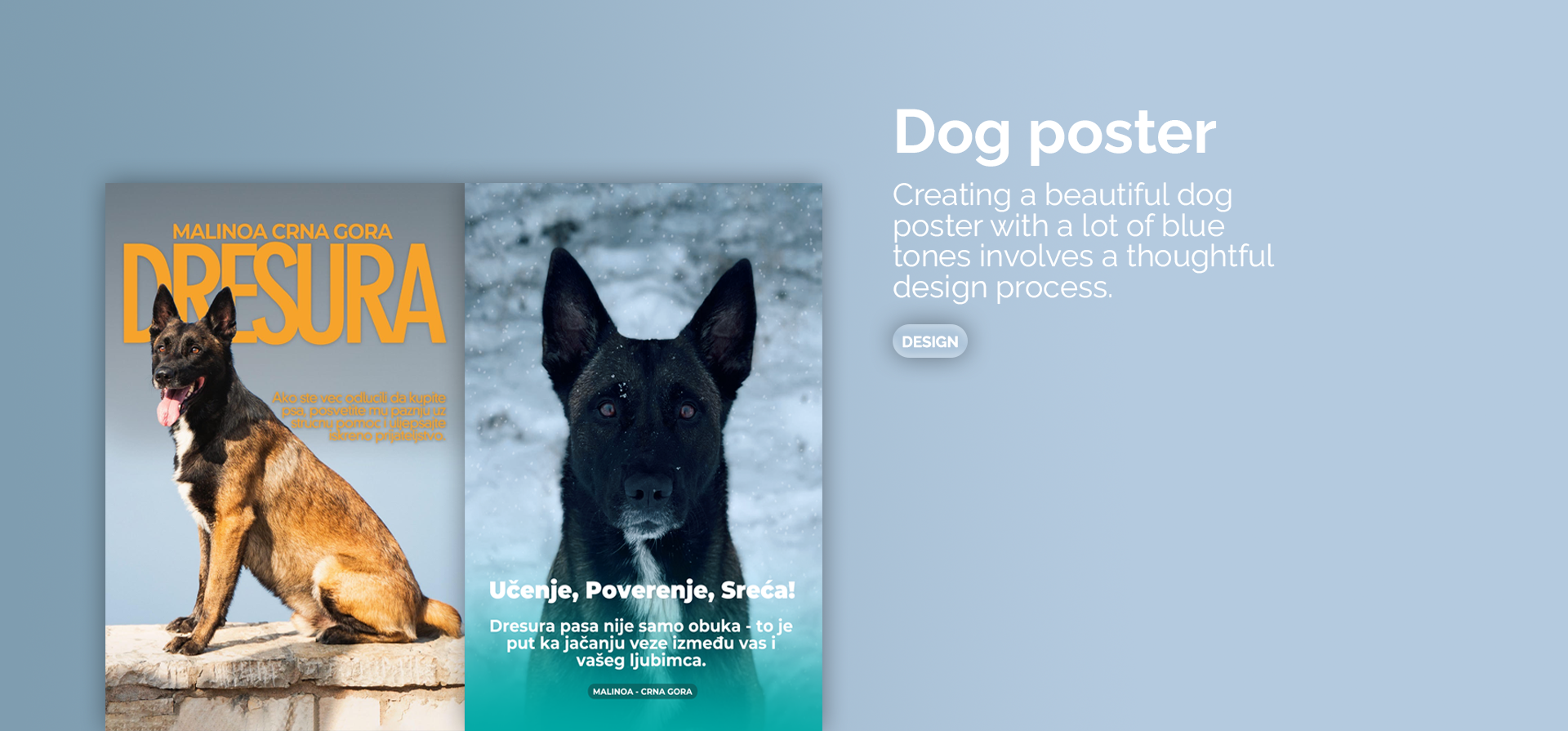 Dog poster